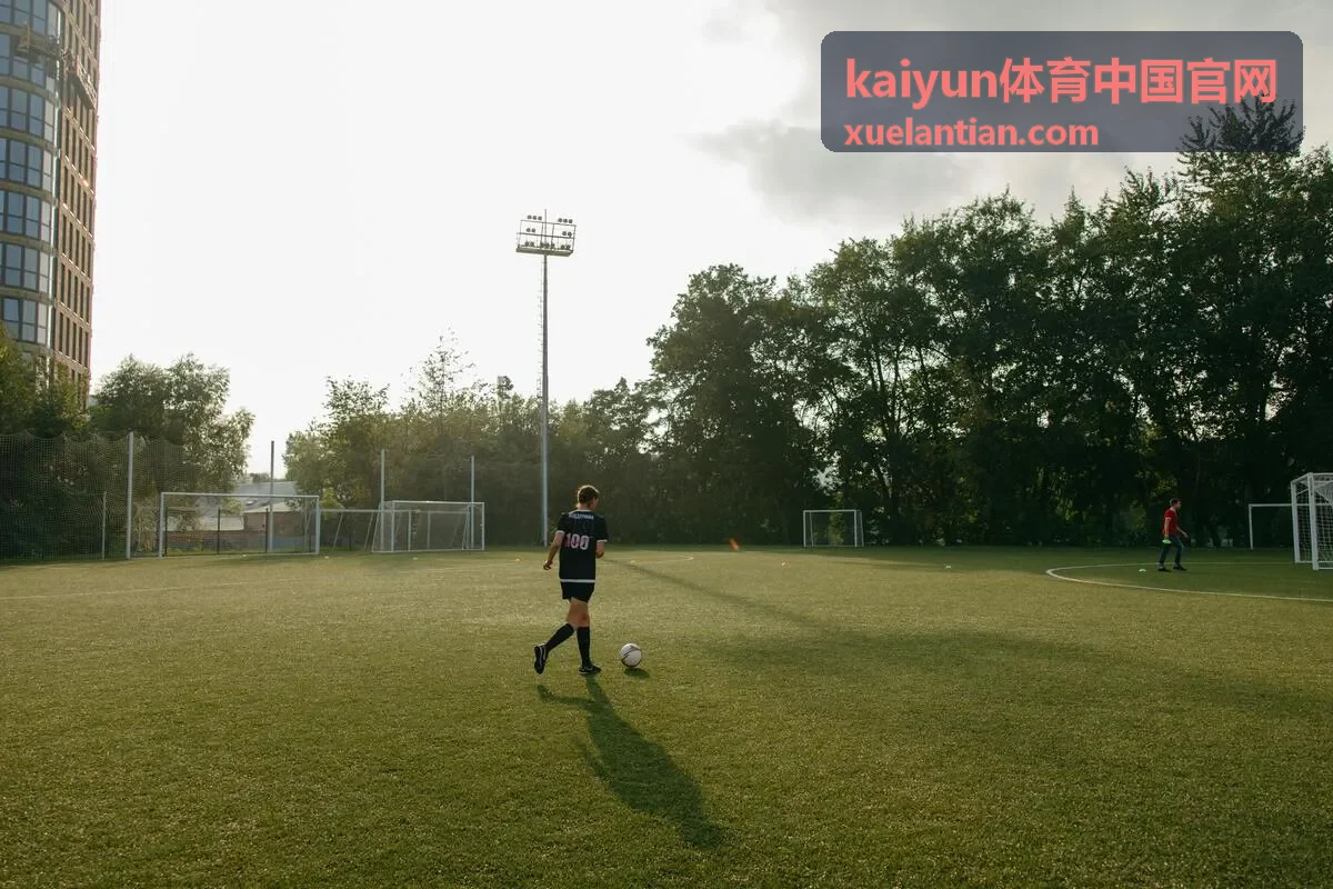kaiyun体育中国官网数据安全服务保障示意图